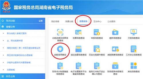 国家税务总局湖南省税务局 2020年度纳税信用预评信息, 可网上查询啦